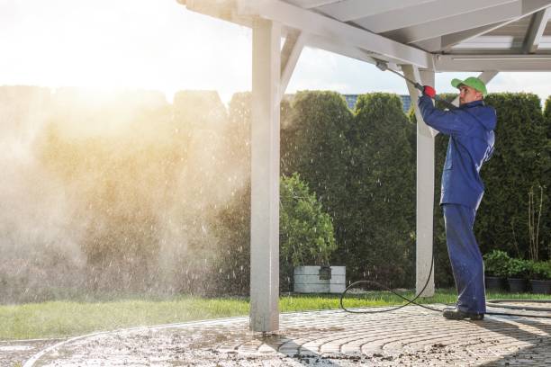 Animal Enclosure Cleaning in Republic, MO